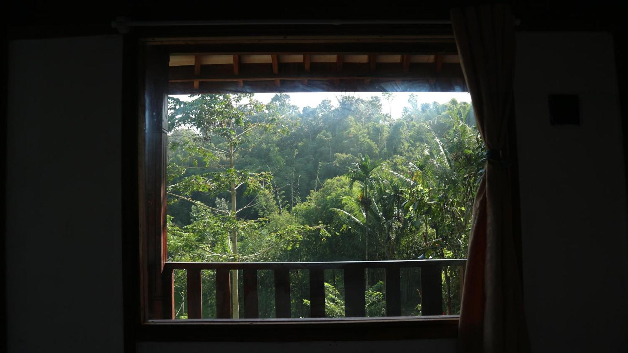 Hotel Selatan Rinjani à Tetebatu Extérieur photo
