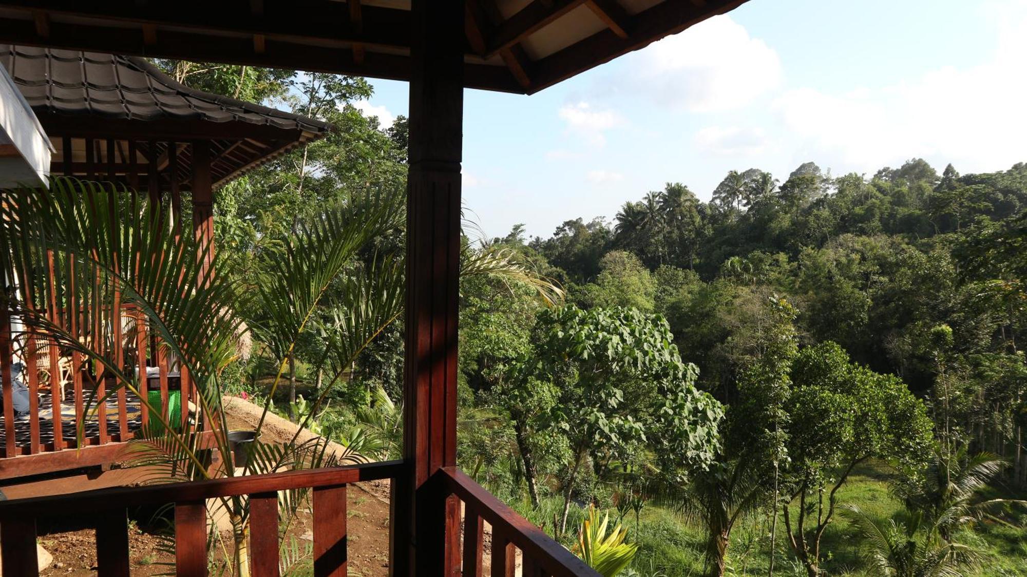 Hotel Selatan Rinjani à Tetebatu Extérieur photo